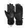 Black/PiedDePoule